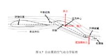 自由翼飛機