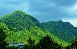 龍王山[浙江省湖州市龍王山]