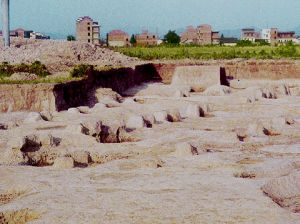 山背文化遺址