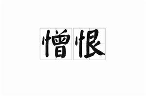 憎恨[詞語]