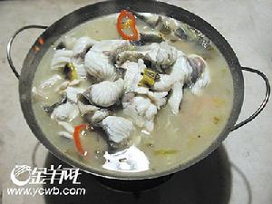 佳帝魚