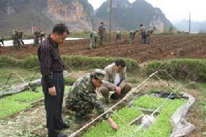 雙廟街鄉