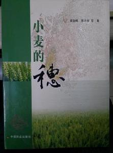 小麥的穗[小麥的穗：2008年崔金梅、郭天財編寫圖書]