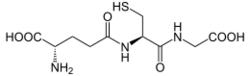 Glutathione