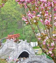 方山風景區[南京市江寧區方山風景區]