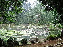 茂物植物園