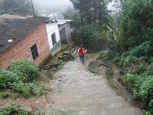 雷打樹村[雲南金平縣阿得博鄉下轄村]