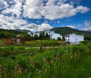 山腳村[雲南省大理州漾濞縣蒼山西鎮山腳村]