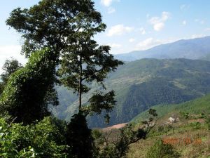 紫金村[雲南省大理州巍山縣紫金鄉下轄村]