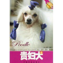 《貴婦犬》