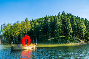 月老山愛情主題森林公園