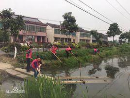 下塘村[浙江省湖州市德清縣鍾管鎮下轄村]