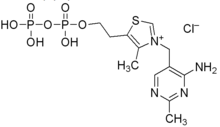 焦磷酸硫胺素