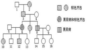 黑尿症遺傳規律