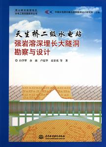 天生橋二級水電站強岩溶埋長大隧洞勘察與設計