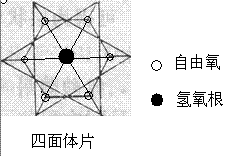 四面體片