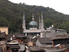 大回村[雲南省玉溪通海縣河西鎮下轄村]