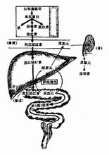 機理