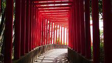 福德稻荷神社“千本鳥居”