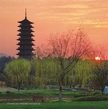 龍背山森林公園[江蘇省宜興市龍背山公園]