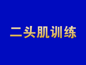 二頭肌訓練