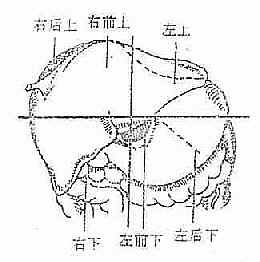 膈下間隙示意圖