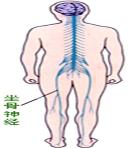 通絡活血強身湯