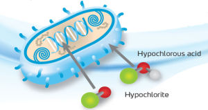cl離子殺菌原理圖