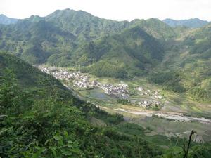 大阜村[安徽省黃山市休寧縣東臨溪鎮大阜村]