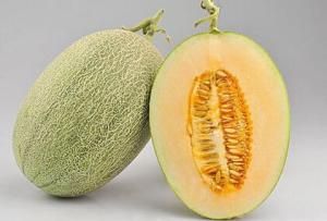 Hami melon