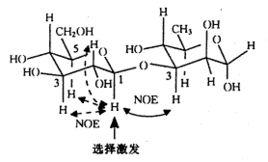 noe[奧弗豪塞爾核效應]