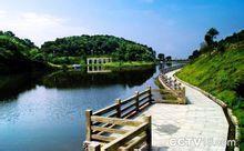 良田村[廣東省廣州市白雲區鍾落潭鎮良田村]