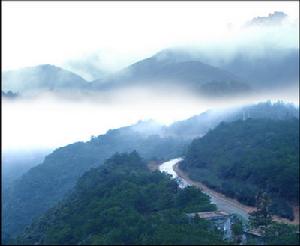 雲陽國家森林公園