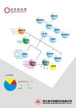 浙江振龍電源股份有限公司