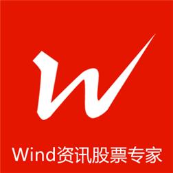 Wind資訊股票專家