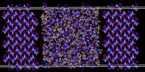 分子動力學