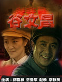 谷文昌[2009年欒逢勤執導電視劇]