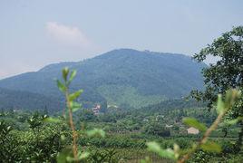 百花村[安徽省合肥市廬江縣下轄村]