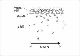 毛細管電泳色譜法