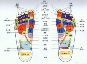 脾足太陰經病證