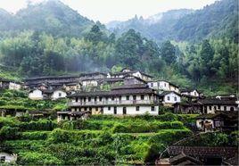 荷山村[福建省泉州市惠安縣東嶺鎮荷山村]