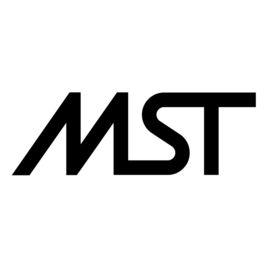 mst[金融公司]