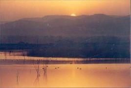 合陽黃河濕地自然保護區