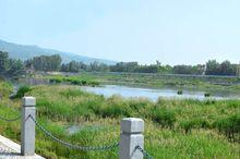 牧馬河濕地公園