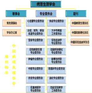 組織結構圖