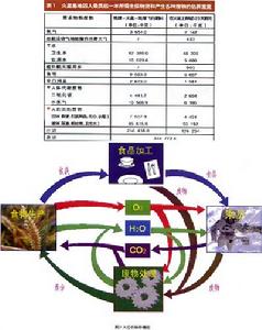 太空農場內部生物循環