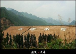 蘭溪芝堰樹榮酒坊