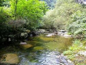 金陵寺鎮新農村[行政區域]