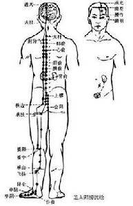 十二經別[經絡理論]