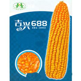 吉興688